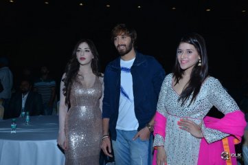 Rogue Movie Audio Launch